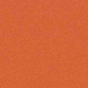 Линолеум Bulletin Board 2211 tangerine zest фото ##numphoto## | FLOORDEALER